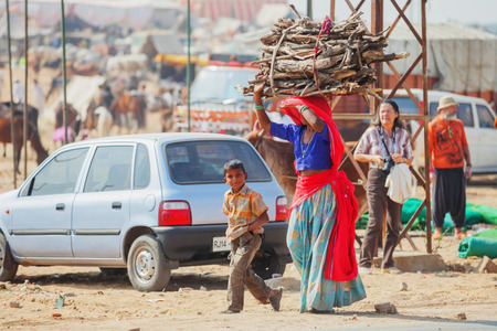 PUSHKAR, RAJASTHAN, INDIA - CIRCA NOV 2012: Traditional Fair in Pushkar. Woman carries a bundle of firewoodのeditorial素材
