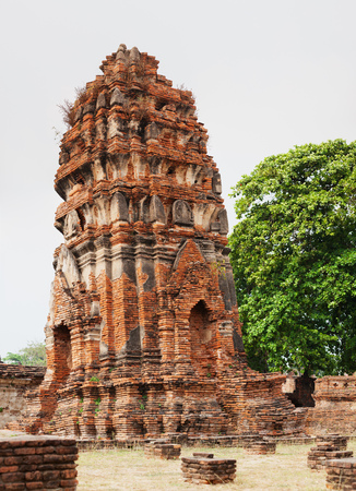 Ayutthaya - ruins of the Temple. Ancient temple and tree near itの写真素材