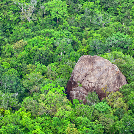 Top view of forest and rock. Green landscapeの写真素材