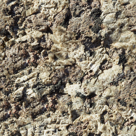 Seamless texture. Surface rocks of Khibiny Mountainsの写真素材