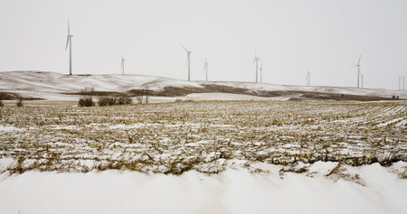 A row of wind turbines along a snowy South Dakota ridgeの写真素材