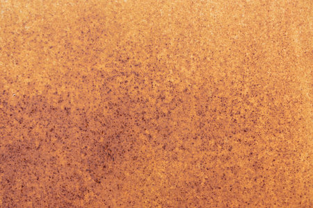 Dappled rusdt on a metal plateの写真素材