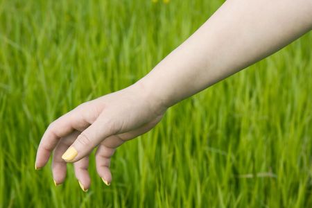 The female hand on a green background reaches for somethingの写真素材