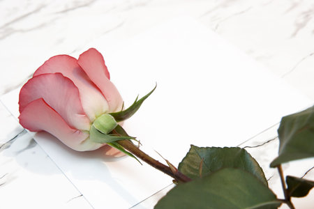 The red rose and the letter lie on a marble tableの写真素材