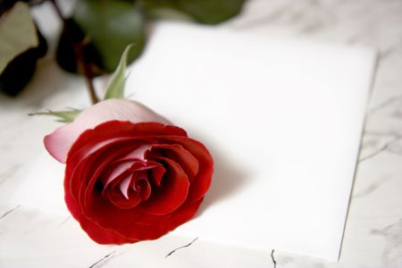 The red rose on a marble tableの写真素材