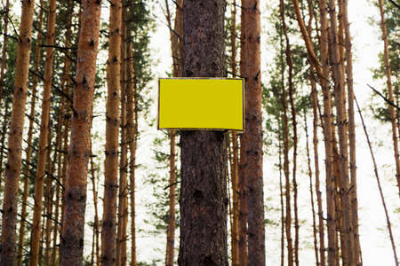 Empty yellow sign on a tree in the forestの写真素材