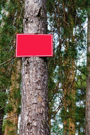 Empty red sign on a tree in the forestの写真素材