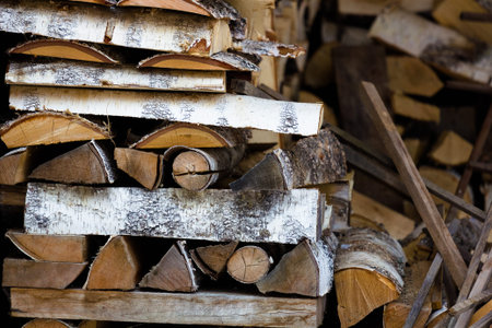 fuelwood for the winter. Pile of birch firewood