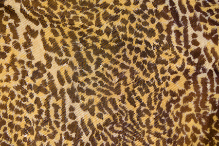 Part of the surface the nylon scarf with animal pattern. macro photographyの写真素材