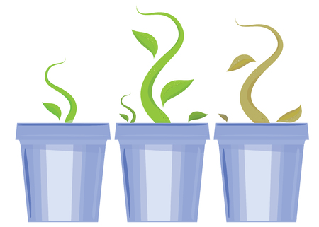 Vector set of flower pots. Shoots and death of plantsのイラスト素材