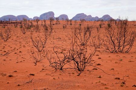 Kata Tjuta - Ayers Rock. Aboriginal sacred place. UNESO world heritage. Desert country with Kata Tjuta on horizon.の写真素材