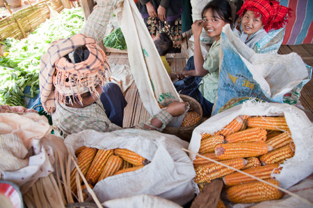 BURMA, SHAN STATE, SAMKAR -  FEBRUARY 25, 2011: Pa-O tribal woman and kids in native costume are sitting around corn harvest.のeditorial素材