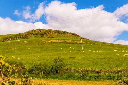 View of a high mountain strewn with green grass, a flock of sheep grazing, agricultural industryの写真素材