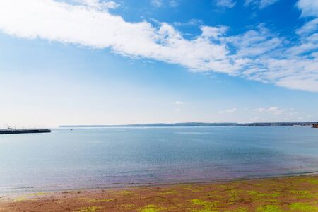 View of a beautiful bay over the ocean, in the background pier and a seaside town, sandy beach with seaweed, sunny dayの写真素材