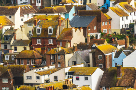 Roofs of buildings covered with green moss, seaside spot seen from the bird's eye view, beautiful typical English architecture, top viewのeditorial素材