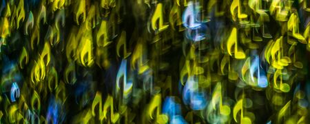Night lights bokeh shaped sheet music, defocused bokeh light, blurred bokeh, bokeh light background, soft fractal, abstractionの写真素材