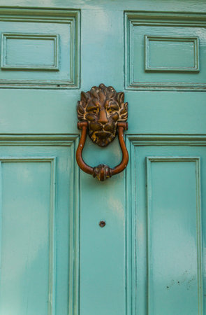 Door with brass knocker in the shape of a lion's head, beautiful entrance to the house, lion decor