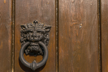 Door with brass knocker in the shape of a lion's head, beautiful entrance to the house, decor
