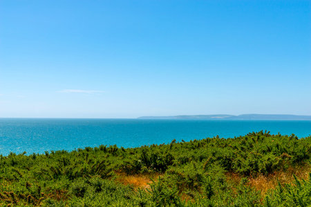 Ocean view with hills, green vegetation background and beautiful blue ocean tile, vacation