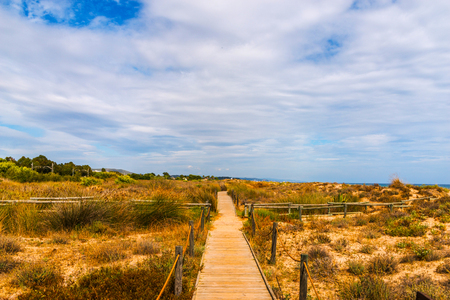 a wooden boardwalk in the dunes leading to the sandy beach, the path by the sea, plants on the dunes, tourismの写真素材