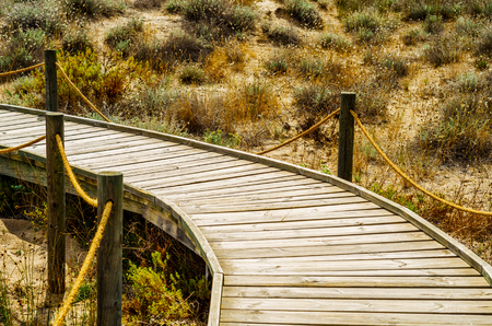 a wooden boardwalk in the dunes leading to the sandy beach, the path by the sea, plants on the dunes, tourismの写真素材