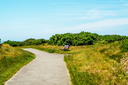 Empty bench in the park in the seaside resort, resting place, green park, sunny day, vacationの写真素材