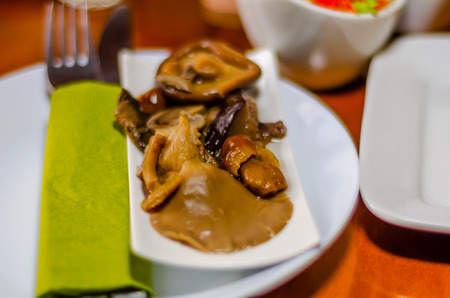 Set with different appetizers in small portions, healthy and delicious snacks, diet foodの写真素材