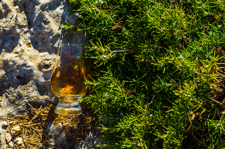 Single malt whisky in glass on plants on the rock, drink on a natural stone, tasty setの写真素材