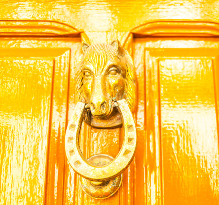 Door with brass knocker in the shape of a horse's head, beautiful entrance to the house, decorの写真素材