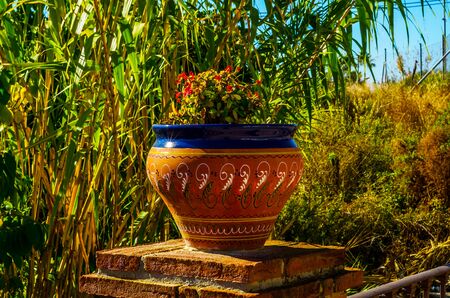 beautiful ceramic flower pot on a pedestal with flowers, decoration of urban space,
outdoor decoration, decor streetの写真素材