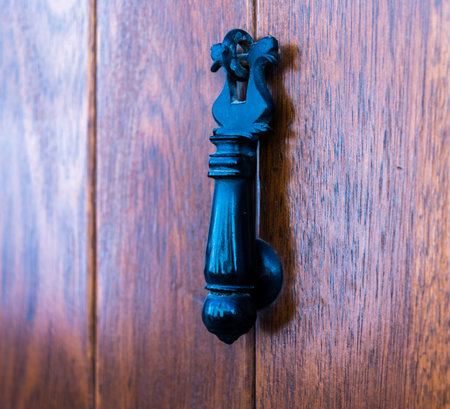 Door with brass knocker in the shape of a decor,  beautiful entrance to the house, vintage...