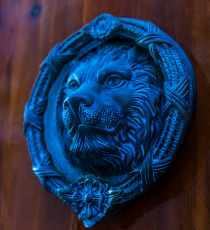 Door with brass knocker in the shape of a lion,  beautiful entrance to the house, vintage decoration