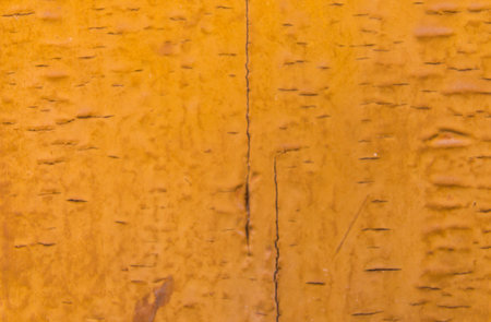 Interesting texture of a wooden surface, natural wood as an elegant background, nature