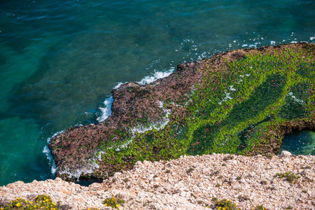 High cliff above the sea, summer sea background, many splashing waves and stone, sunny dayの写真素材