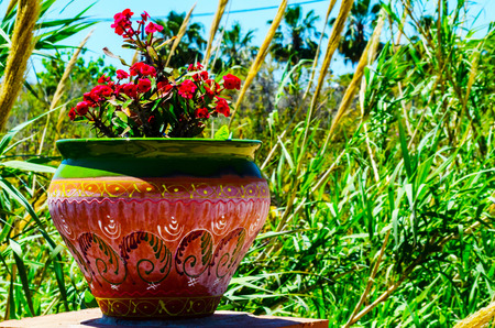 Beautiful ceramic flower pot on a pedestal with flowers, decoration of urban space,
outdoor decoration, decor streetの写真素材