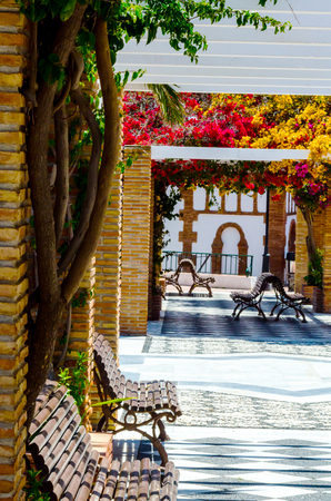 Closeup on a beautiful arbor covered with climbing plants with colorful flowers, relax place, architectureの写真素材