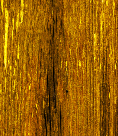 Interesting texture of a wooden surface, natural wood as an elegant background, natureの写真素材