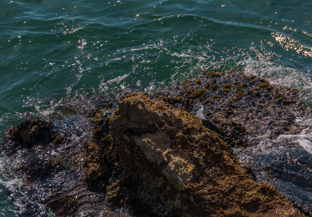Amazing sea with blue summer wave and rocks, relaxing view of rocks and water, natureの写真素材