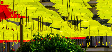 Colourful umbrellas urban street decoration. Hanging colorful umbrellas over blue sky, tourist attraction, sunny dayの写真素材
