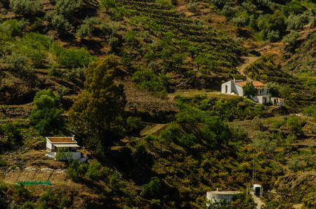 Typical Spanish village houses and farmland in the hills of Andalusia, mountain landscapeの写真素材