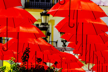 Colorful umbrellas urban street decoration. Hanging colorful umbrellas over blue sky, tourist attraction, sunny dayの写真素材