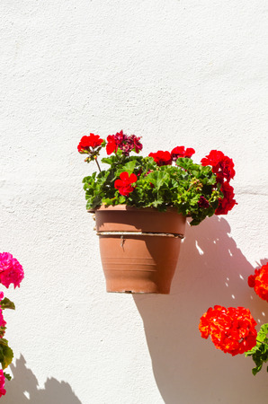 Ceramic flower pot with flowers hung on the wall, decorating the urban space,
decorative streetの写真素材