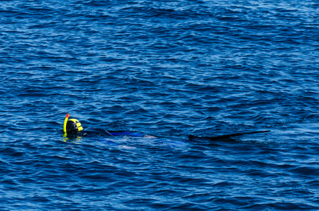 Diver with a snorkel during swimming on the sea surface, active and interesting water sport, snorkelingの写真素材