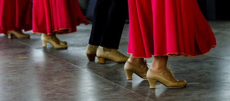 Closeup of a typical shoes to the traditional Spanish flamenco dance shoes, leather high heels, part of the costumeの写真素材