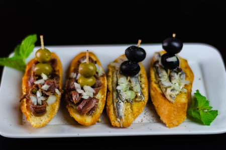Spanish seafood tapas, mini sandwiches food set,  delicious snack appetizer, lunchの写真素材