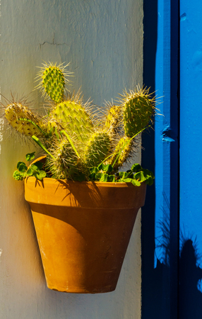 Ceramic flower pot with flowers hung on the wall, decorating the urban space, decorative streetの写真素材