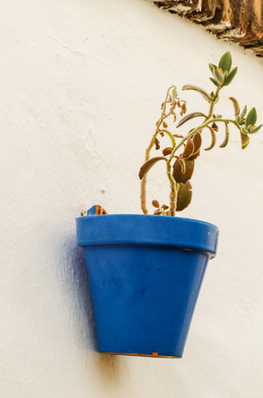 Ceramic flower pot with flowers hung on the wall, decorating the urban space, decorative streetの写真素材