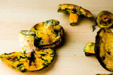 Bloody milk cap (Lactarius sanguifluus) mushrooms, famous mushrooms from the south of Europe, forest productsの写真素材