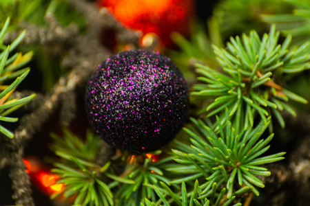 Christmas tree branch and balls, closeup for xmas decorations, holiday backgroundの写真素材