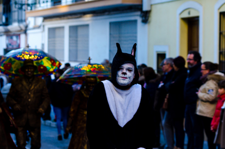 NERJA, SPAIN - FEBRUARY 10, 2018People in costumes celebrating carnival in Malaga province, carnival paradeのeditorial素材